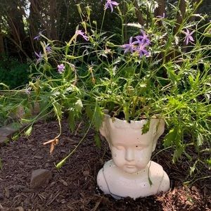 Meet your Posher, Elisabeth